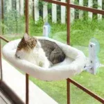 White cat nest