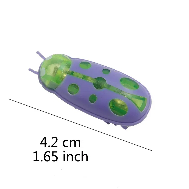 CWJ35 purple green