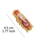 CWJ36 yellow red
