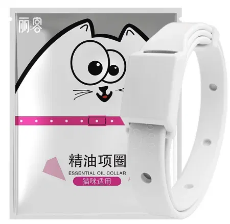 For Cats