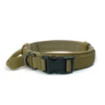 Green dog collar