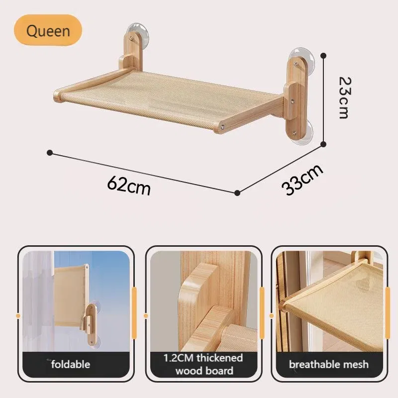 Queen(62cm)