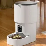 Button Pet Feeder
