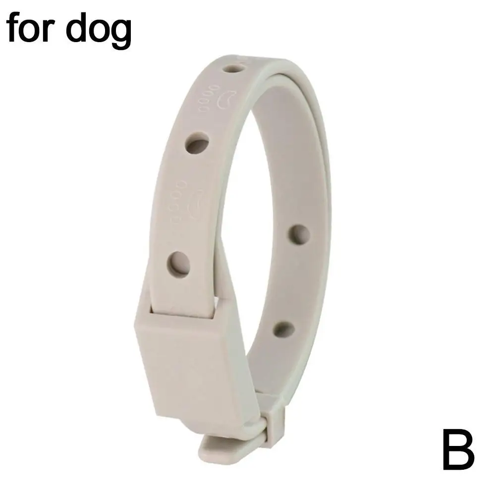 33cm for dog