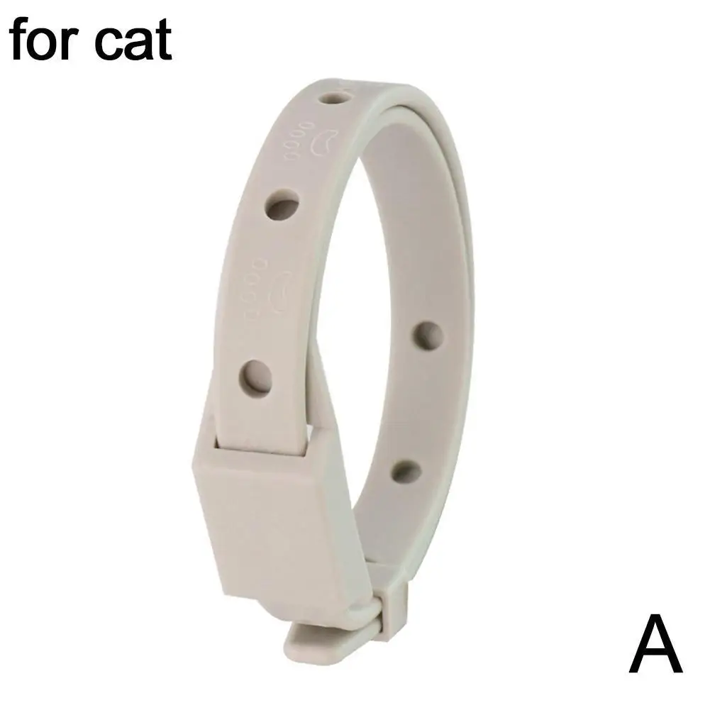 22cm for cat