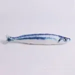 saury