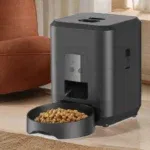 2L Black WiFi