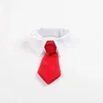 RD