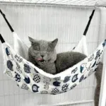 Lucky CatA