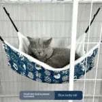 Lucky CatB