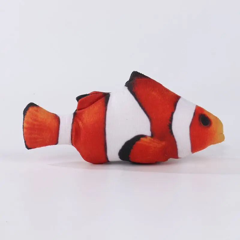 clownfish