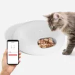 WiFI Feeder