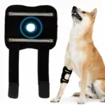 2pcs knee brace
