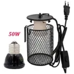 50W and EU plug cage