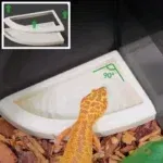 Anti-Escape Mealworm Storage Containers, Pet Feeding Supplies,Special Feeding Bowls For Reptiles, Lizards, Hamsters 1 kf S00c9f2916e0f48dba2da53e5701022e3J