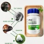 Pet Health Care Products 180 Dog Different Food Trace Element Tablets Probiotics Beautiful Hair Body Healthy Calcium Tablets 13 kf S1d0b180bb4c04bceae2af8fddc38c4bfu