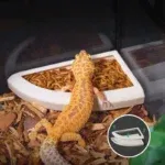 Anti-Escape Mealworm Storage Containers, Pet Feeding Supplies,Special Feeding Bowls For Reptiles, Lizards, Hamsters 4 kf S39b0d341cf044fa09aceb74f75327e0cR