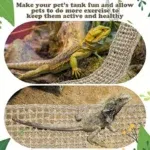 1Pc Bearded Dragon Hammock Reptile Lounger For Chameleon Lizards Gecko Snake Reptiles Geckos Grass Cushion Pet Product Bed Swing 5 kf S42932b36de734363be3f350e4d1c45d6L