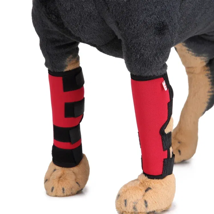 Front knee pads