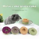 1Pcs Small Pets Rabbit Grinding Teeth Cake Cookie Chew Teeth Grinding Treats Keep Clean Teeth Hamsters Guinea Bunny Squirrels 3 kf S5aadacd1533f49e19581e88a52d76bbcQ