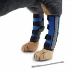 Back knee pads 7