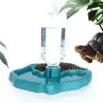 1Pc - Reptile Feeder, Turtle Food Dish, Small Pet Bowl For Reptiles And Amphibians, Removable, Easy-Clean,Small Pet Supplies 14 kf S73667bda02e94572b845ceaab14bc904I