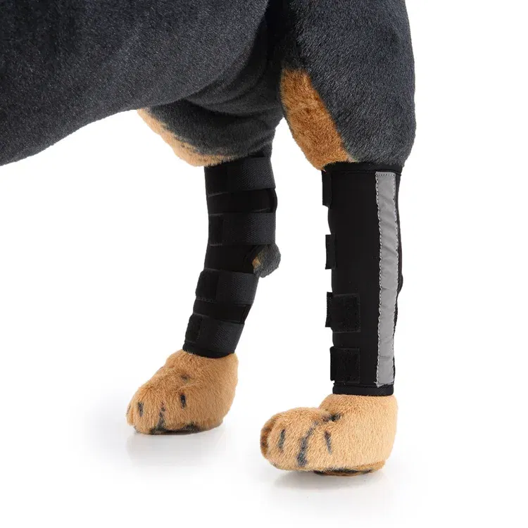 Back knee pads 2