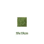 19x19cm