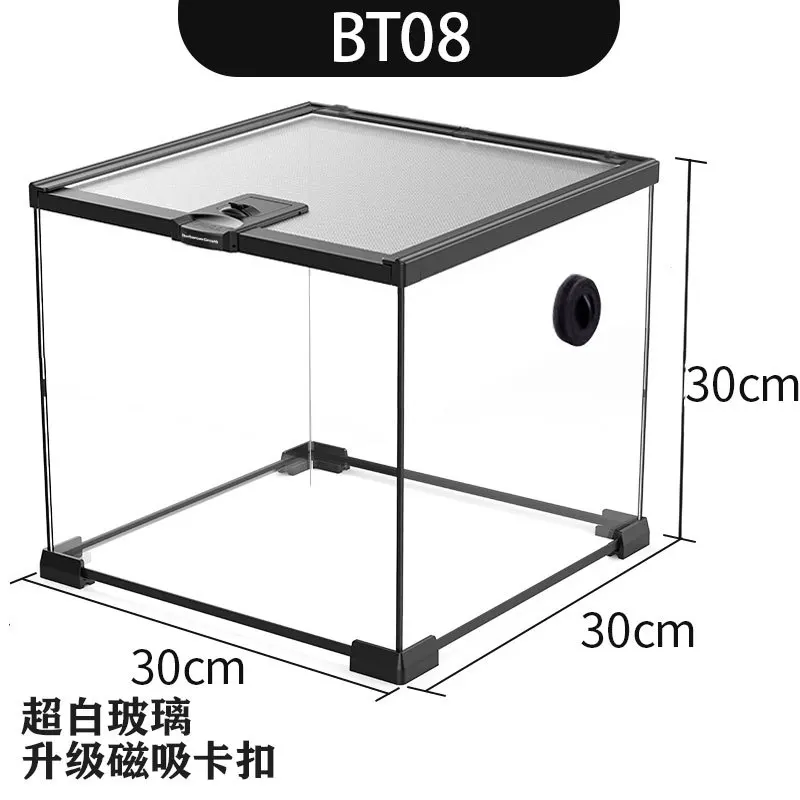 BT08