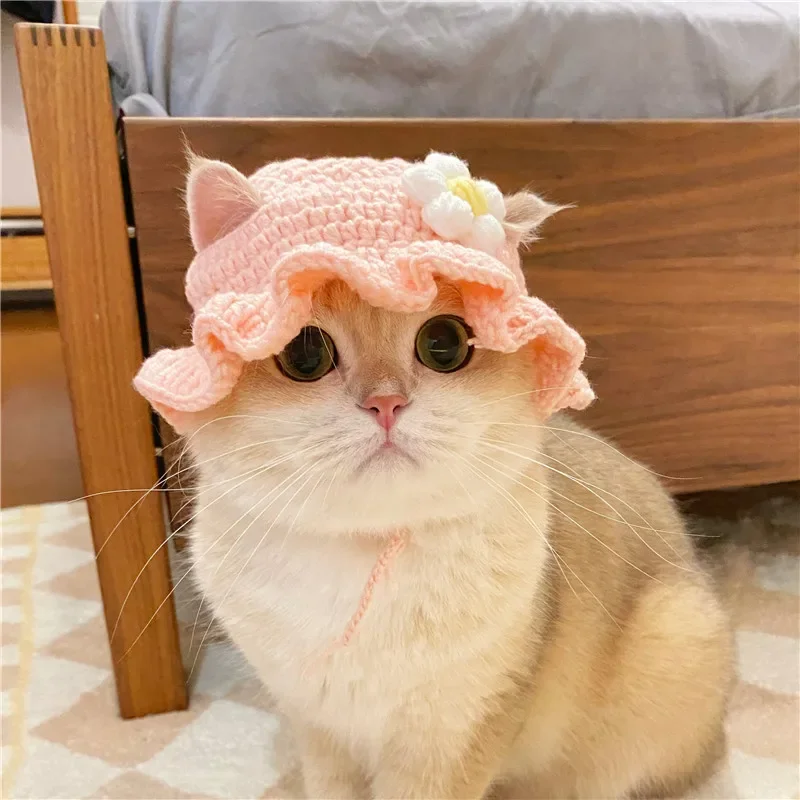 Elastic Cute Refined Pet Hat, Puppy And Kittens Knitted Hat, Photo Shoot Props, Cat Accessories, Autumn And Winter 10 kf S9c219810707b4a92bf9846954667adbaJ