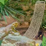 1Pc Bearded Dragon Hammock Reptile Lounger For Chameleon Lizards Gecko Snake Reptiles Geckos Grass Cushion Pet Product Bed Swing 6 kf Sa75c7b481a8b4472a243e637d0073d26P