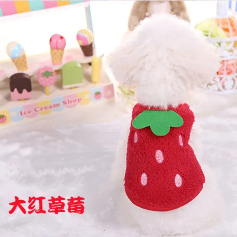 red strawberry