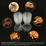 20Pcs, Plastic Gecko Food And Water Feeding Cup, Reptile Feeding Bowl Replacement Bowl, Suitable For Lizards And Other Small Pet 13 kf Sb034c9982a06473a932f007878c96f7en