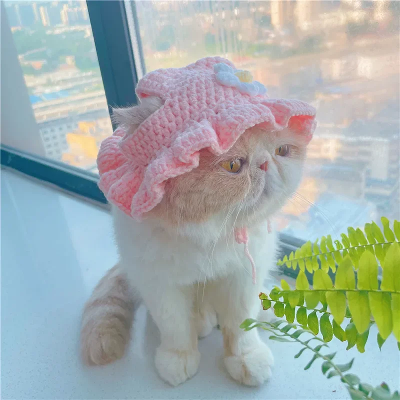 Elastic Cute Refined Pet Hat, Puppy And Kittens Knitted Hat, Photo Shoot Props, Cat Accessories, Autumn And Winter 9 kf Sb8037c68c81348cfaac4b528f2b08baaM