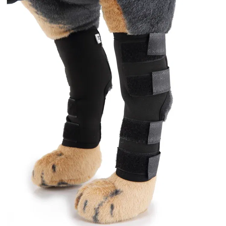 Back knee pads