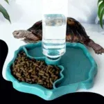 1Pc - Reptile Feeder, Turtle Food Dish, Small Pet Bowl For Reptiles And Amphibians, Removable, Easy-Clean,Small Pet Supplies 13 kf Sc0cb3e123ba642f798748a1ba6996c48V