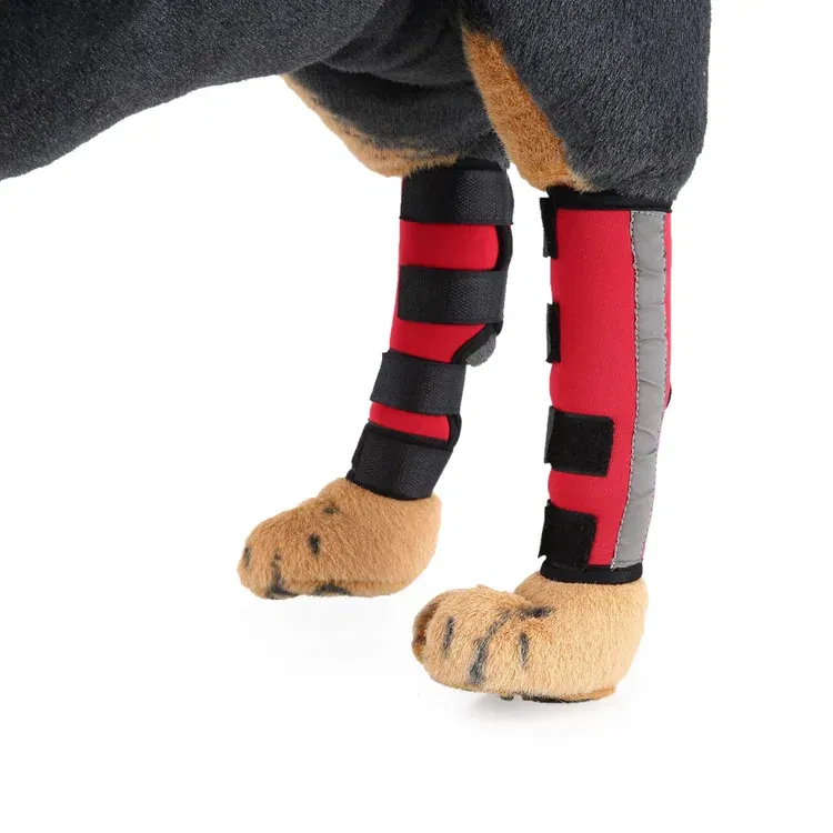 Back knee pads 3