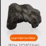 Sea Stones L