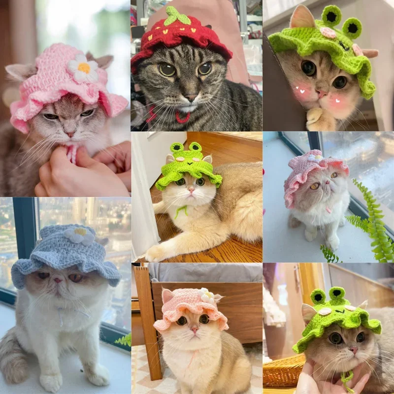 Elastic Cute Refined Pet Hat, Puppy And Kittens Knitted Hat, Photo Shoot Props, Cat Accessories, Autumn And Winter 11 kf Sdaf672ef4469426fa440abf035737a9fy